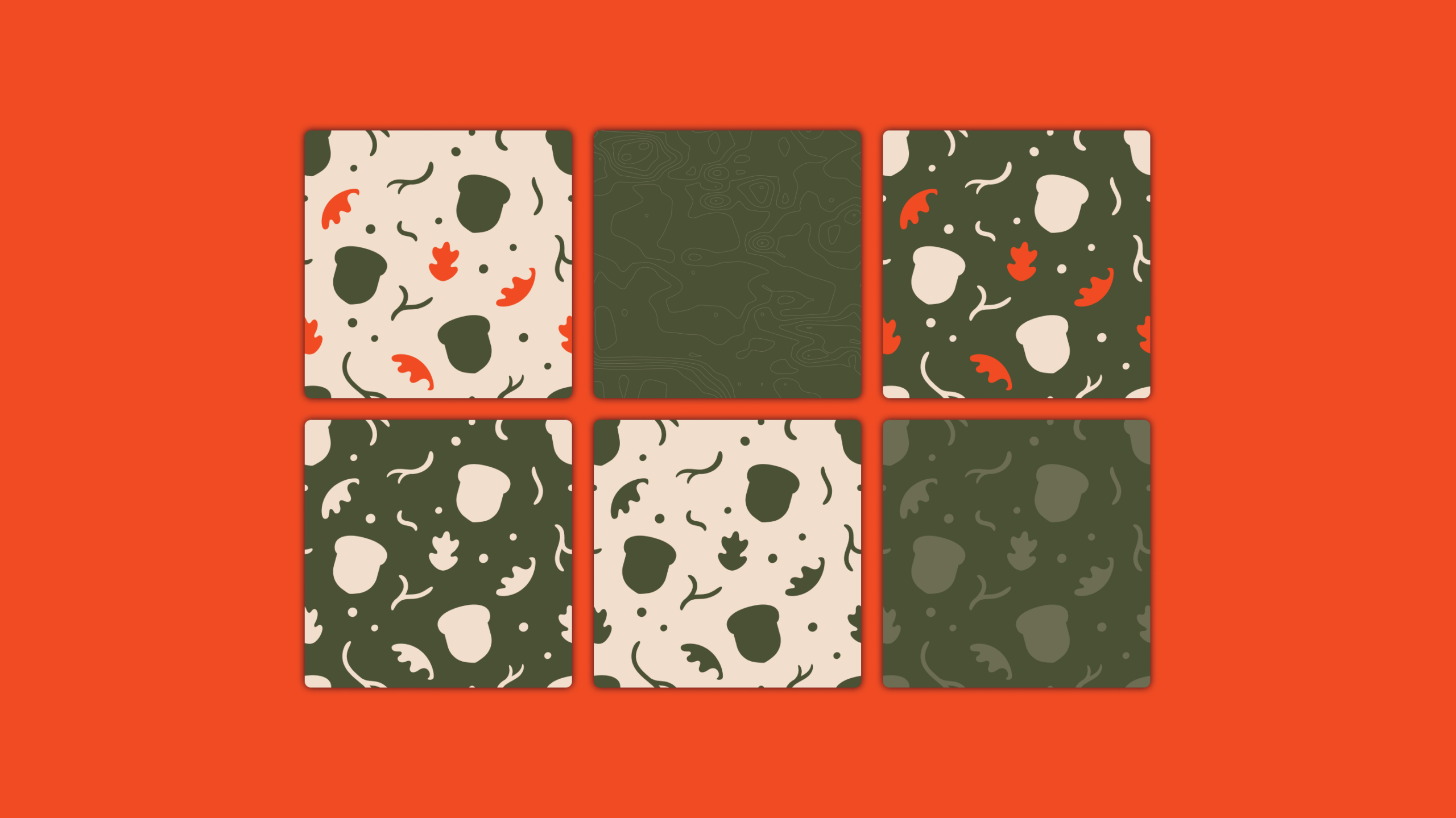 Portfolio Portfolio