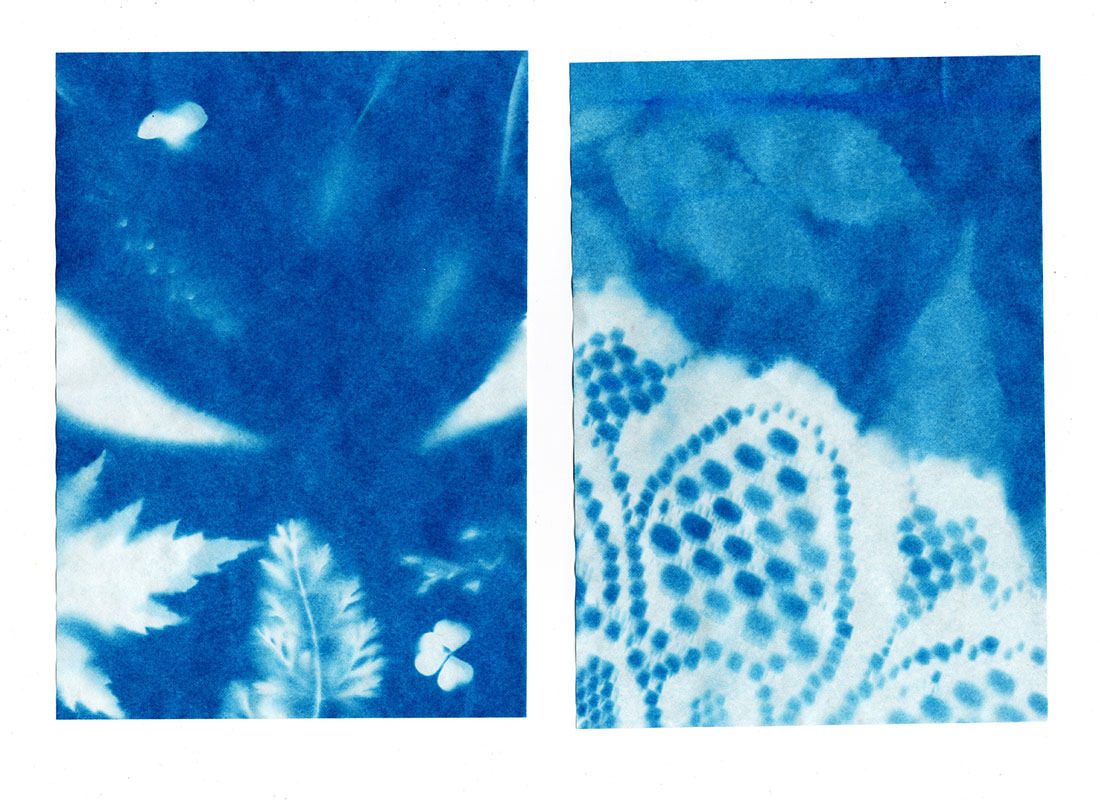 cyanotypes_0002 cyanotypes_0002